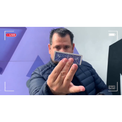 AUTOREVERSE 2.0 by Mickael Chatelain