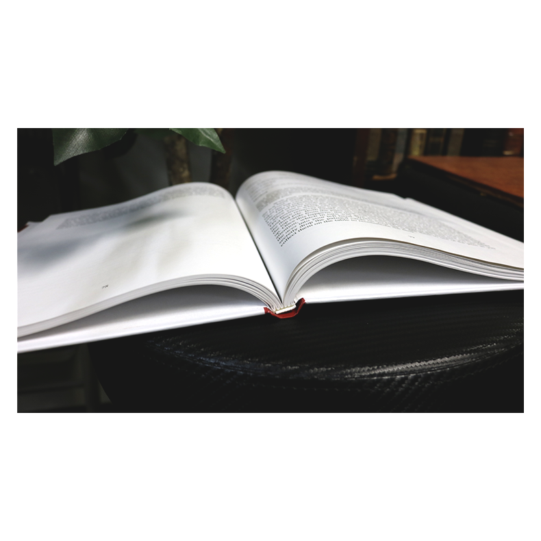 Who is Inaki Zabaletta? by Vernet Magic