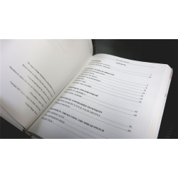 Who is Inaki Zabaletta? by Vernet Magic