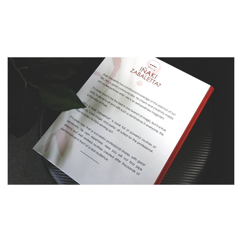 Who is Inaki Zabaletta? by Vernet Magic