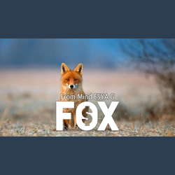 FOX by Esya G video DOWNLOAD