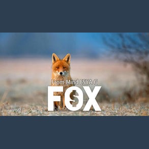 FOX by Esya G video DOWNLOAD