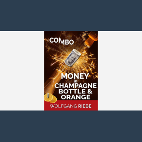 Money in Champagne Bottle & Orange by Wolfgang Riebe ebook DOWNLOAD