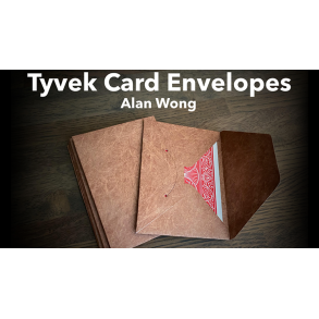 Tyvek Card Envelopes 10 pk. BROWN by Alan Wong