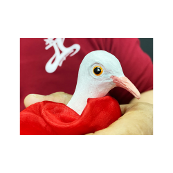 FINGER DOVE by JL Magic