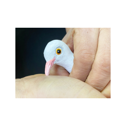 FINGER DOVE by JL Magic