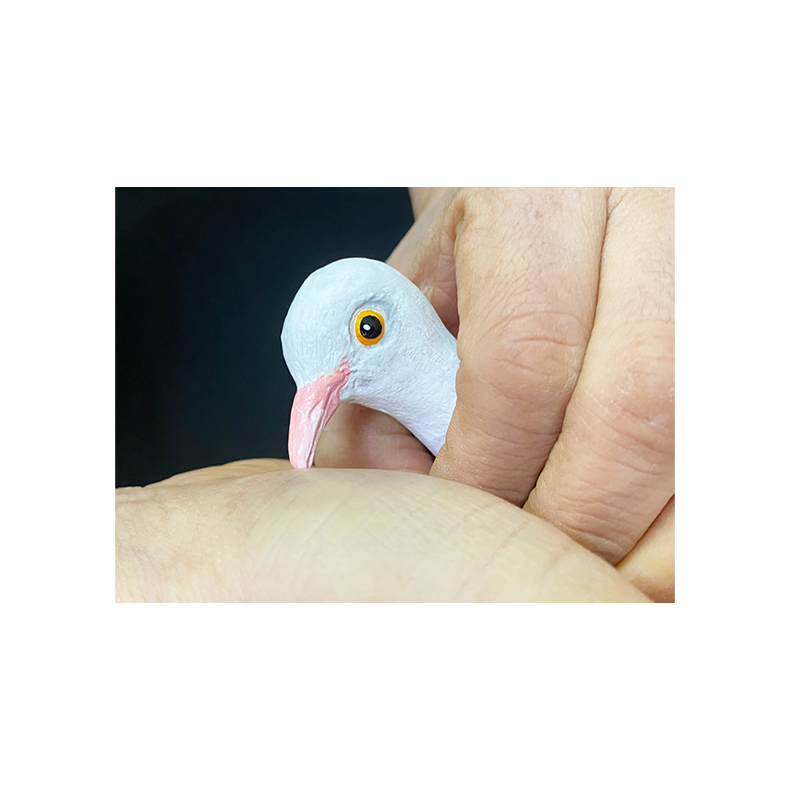 FINGER DOVE by JL Magic