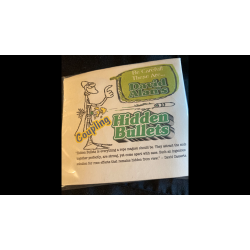 Hidden Bullets (Kissing) by David Alan Magic