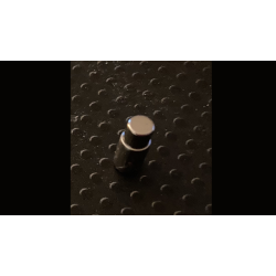 Hidden Bullets (Coupling) by David Alan Magic