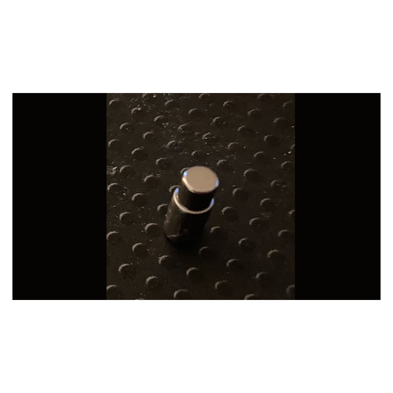 Hidden Bullets (Coupling) by David Alan Magic