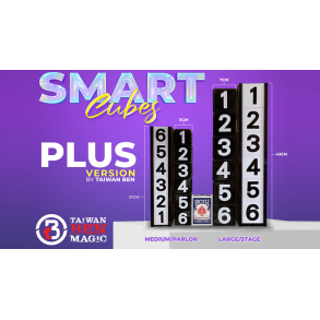 Smart Cubes PLUS (Large/Stage) by Taiwan Ben