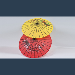 Umbrella From Bandana Set (random color for umbrella) by JL Magic