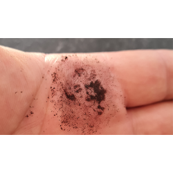 REPLICA by Jimmy Strange  