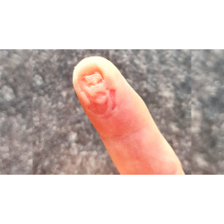 REPLICA by Jimmy Strange  