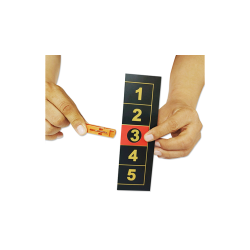 PREDICTION BALL by JL Magic