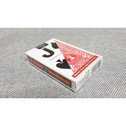 Bicycle Bridge Large Print by USPCC