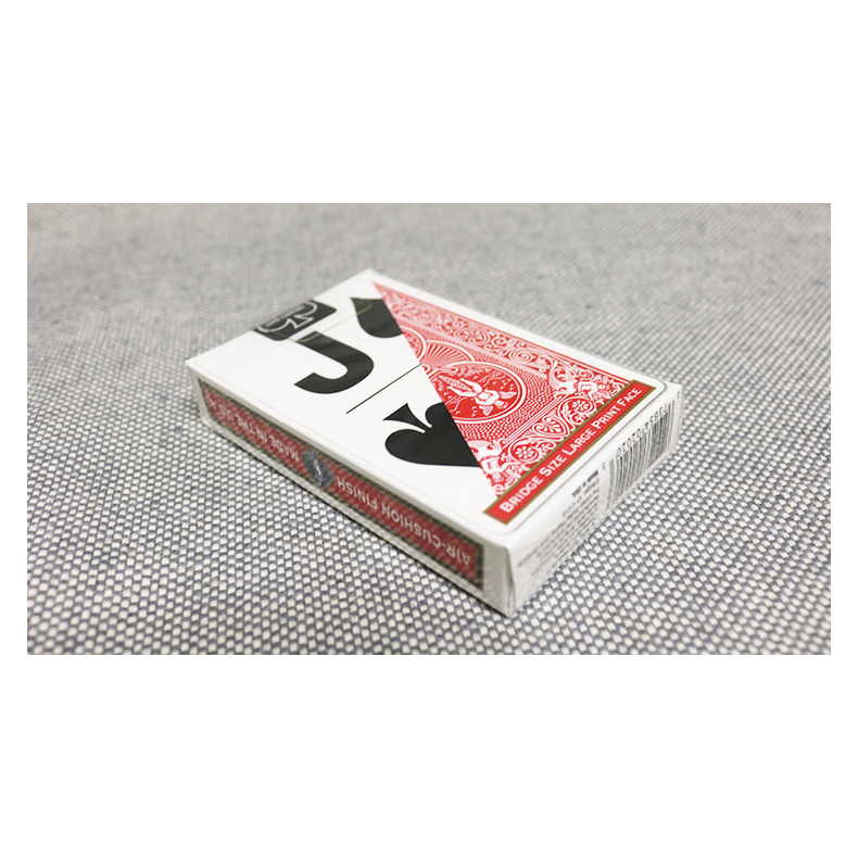 Bicycle Bridge Large Print by USPCC