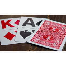 Bicycle Bridge Large Print by USPCC