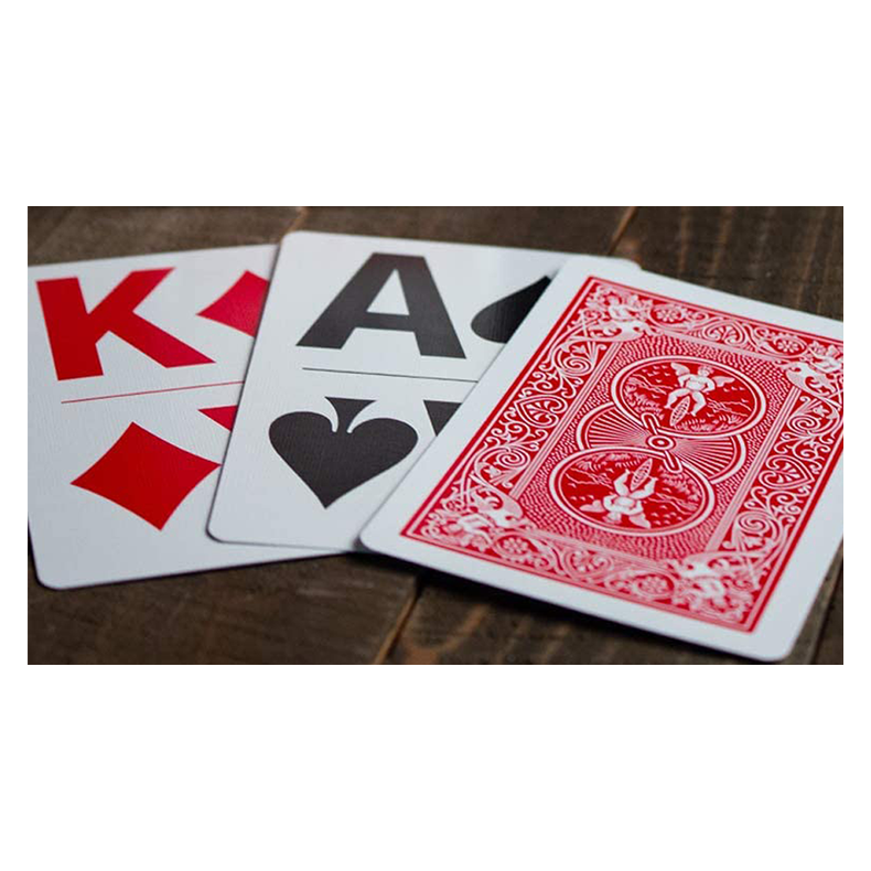 Bicycle Bridge Large Print by USPCC