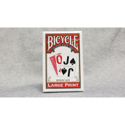 Bicycle Bridge Large Print by USPCC