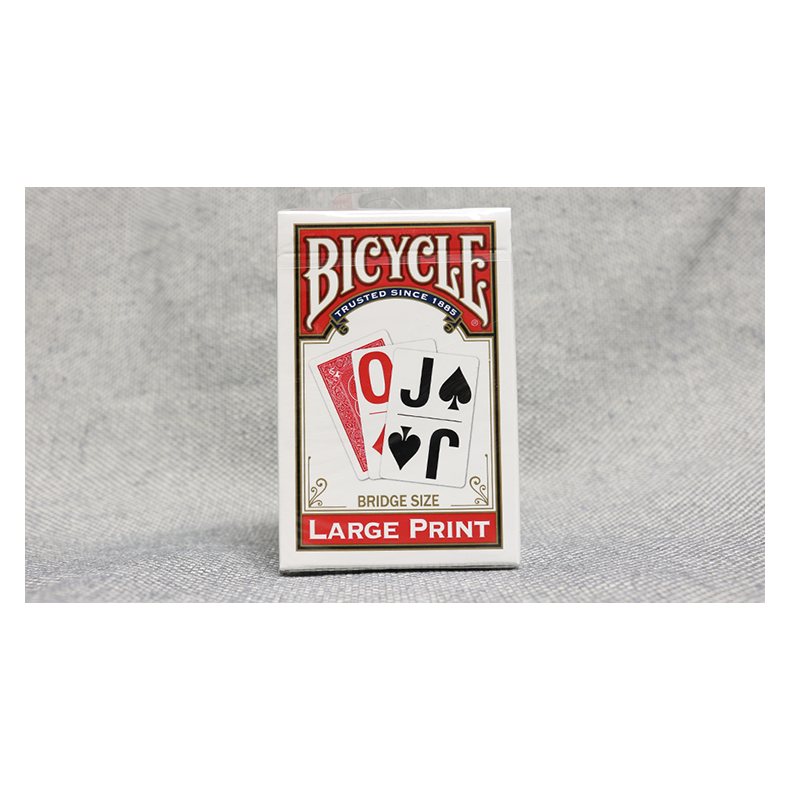 Bicycle Bridge Large Print by USPCC