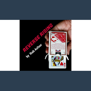 Mario Tarasini presents: Reverse Rising by Ihab Asfour - video DOWNLOAD