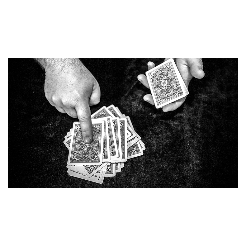 FREEDOM OF EXPRESSION by Dani DaOrtiz - BOOK