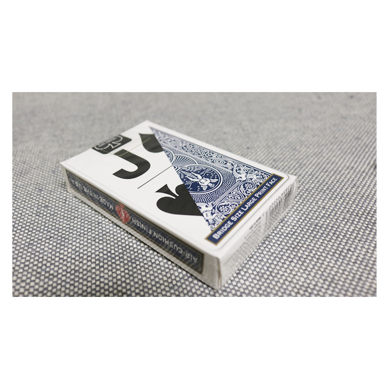 Bicycle Bridge Large Print by USPCC