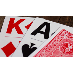 Bicycle Bridge Large Print by USPCC