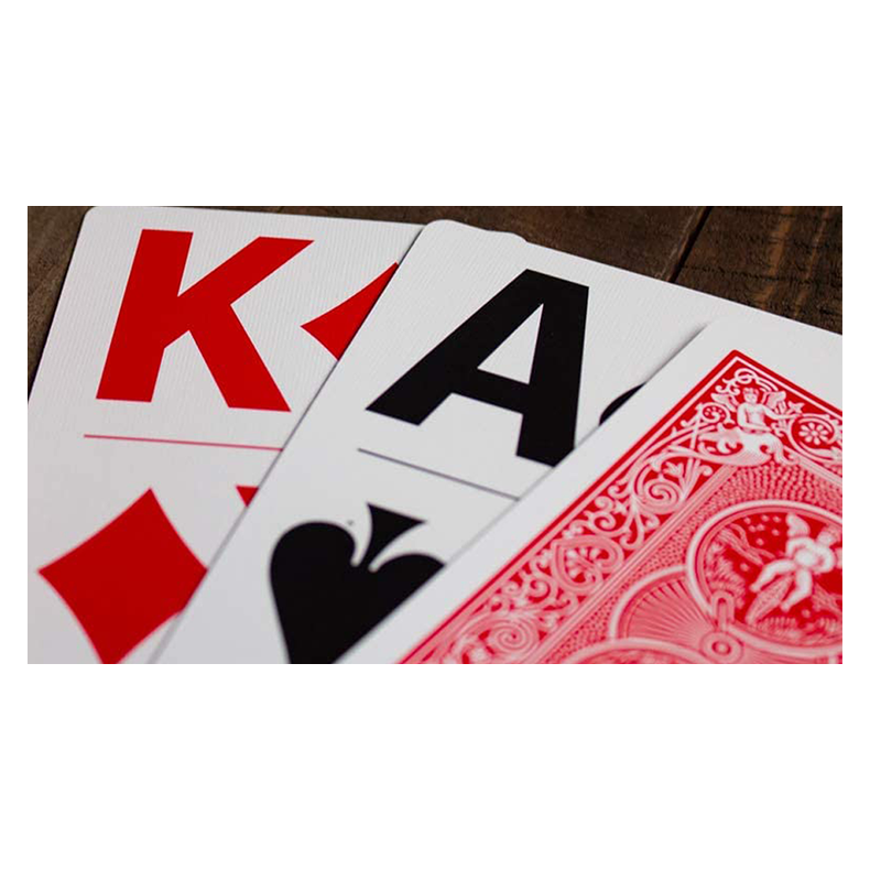 Bicycle Bridge Large Print by USPCC