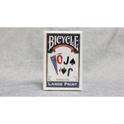 Bicycle Bridge Large Print by USPCC