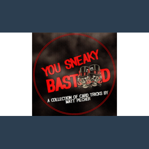 YOU SNEAKY BAST**D By Matt Pilcher eBook DOWNLOAD