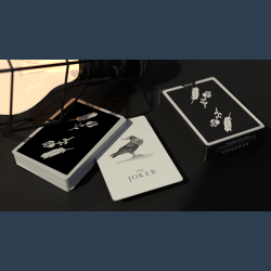 Remedies Playing Cards by Madison x Schneider