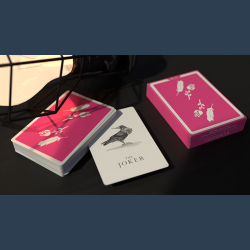 Remedies Playing Cards by Madison x Schneider