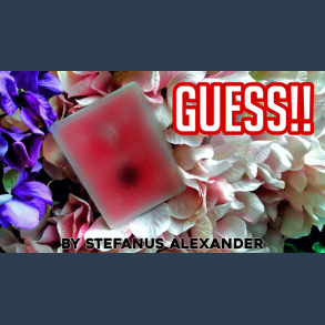 GUESS by Stefanus Alexander video DOWNLOAD