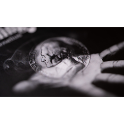 VANISHING NICKEL  by John Cornelius