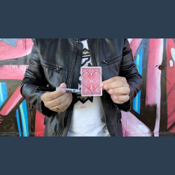 Surprise Proposal by Patricio Teran video DOWNLOAD