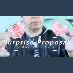 Surprise Proposal by Patricio Teran video DOWNLOAD