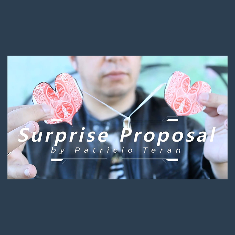 Surprise Proposal by Patricio Teran video DOWNLOAD
