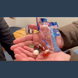 HARRI-O by Lord Harri 