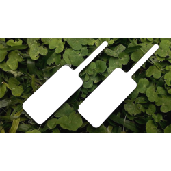 MAGIC BOARD PADDLE by Dar Magia