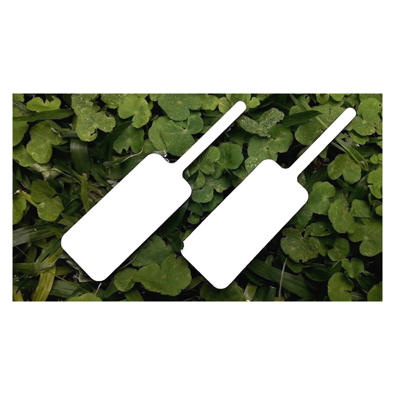 MAGIC BOARD PADDLE by Dar Magia