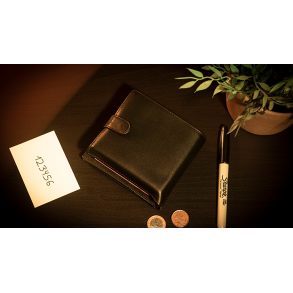 THE LEGACY SYSTEM + ACCESSORIES - Joo Miranda.