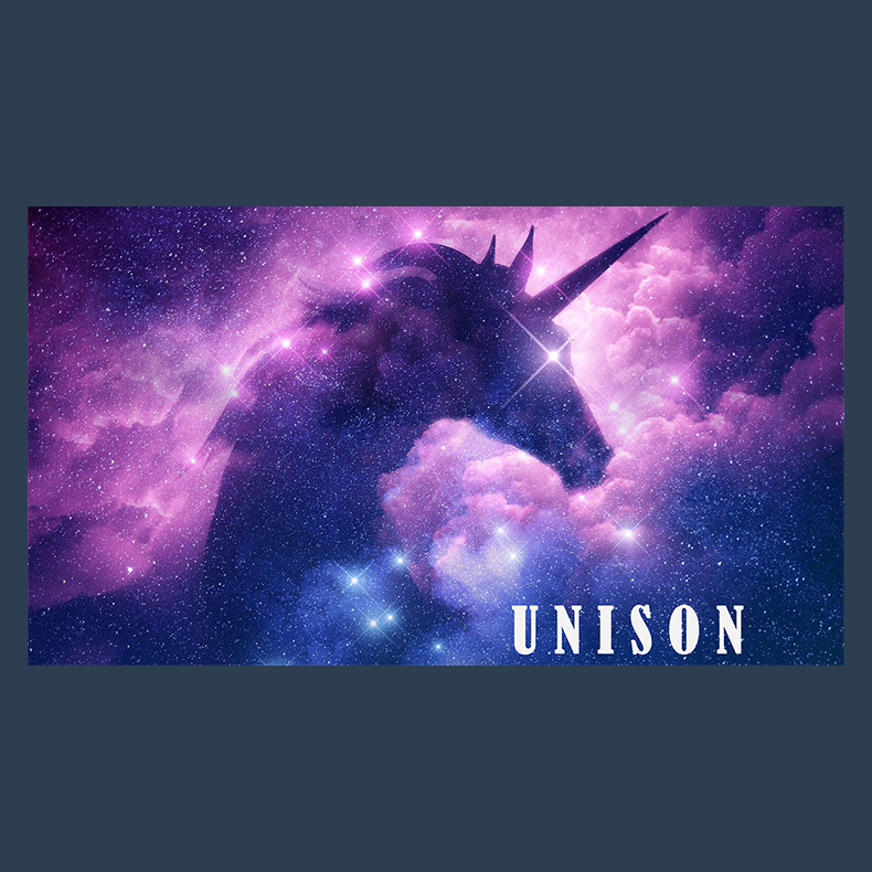 UNISON by Dibya Guha ebook DOWNLOAD