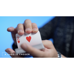 Shadow by Alex, Wenzi &amp; MS Magic