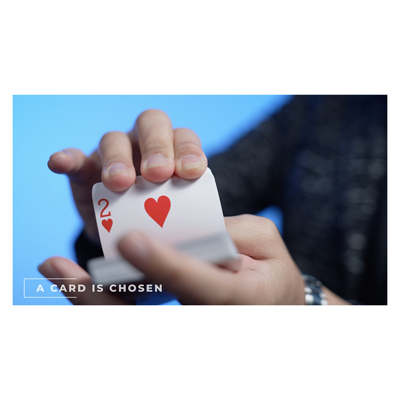 Shadow by Alex, Wenzi &amp; MS Magic