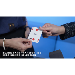 Shadow by Alex, Wenzi &amp; MS Magic