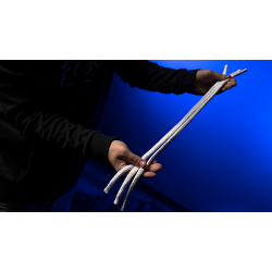 WGM PROFESSORS NIGHTMARE