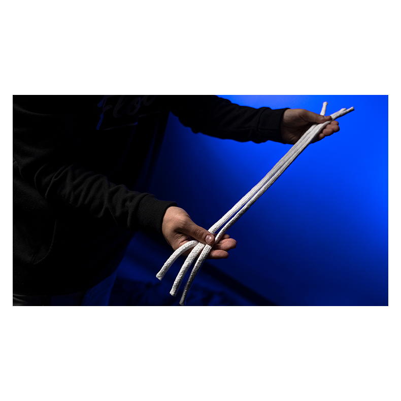 WGM PROFESSORS NIGHTMARE