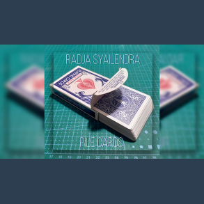 Pile Cards by Radja Syailendra video DOWNLOAD